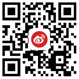 20家英文海外网套餐（包10家谷歌收录）
